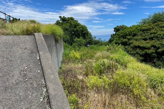 土地の様子