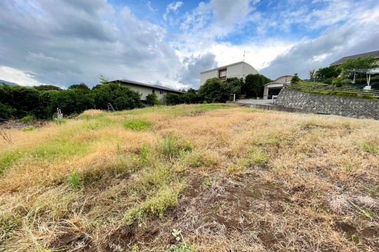 土地の様子