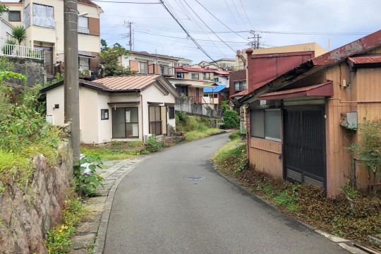 土地の様子