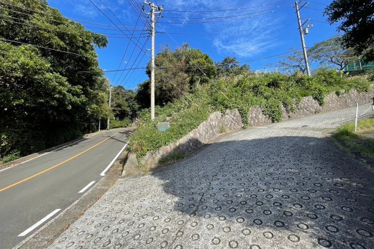 土地の様子