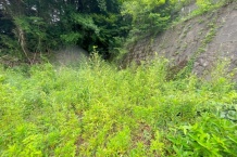 湯河原町宮上 山並み眺望 陽当たり良好な住宅地