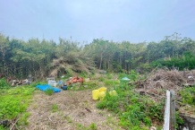 真鶴町岩 真鶴駅まで徒歩約9分 約354坪の広大な土地 建築条件無