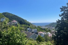 詳細を見る